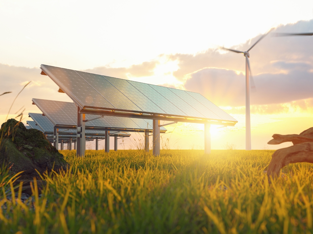 L'impact des énergies renouvelables sur l'environnement