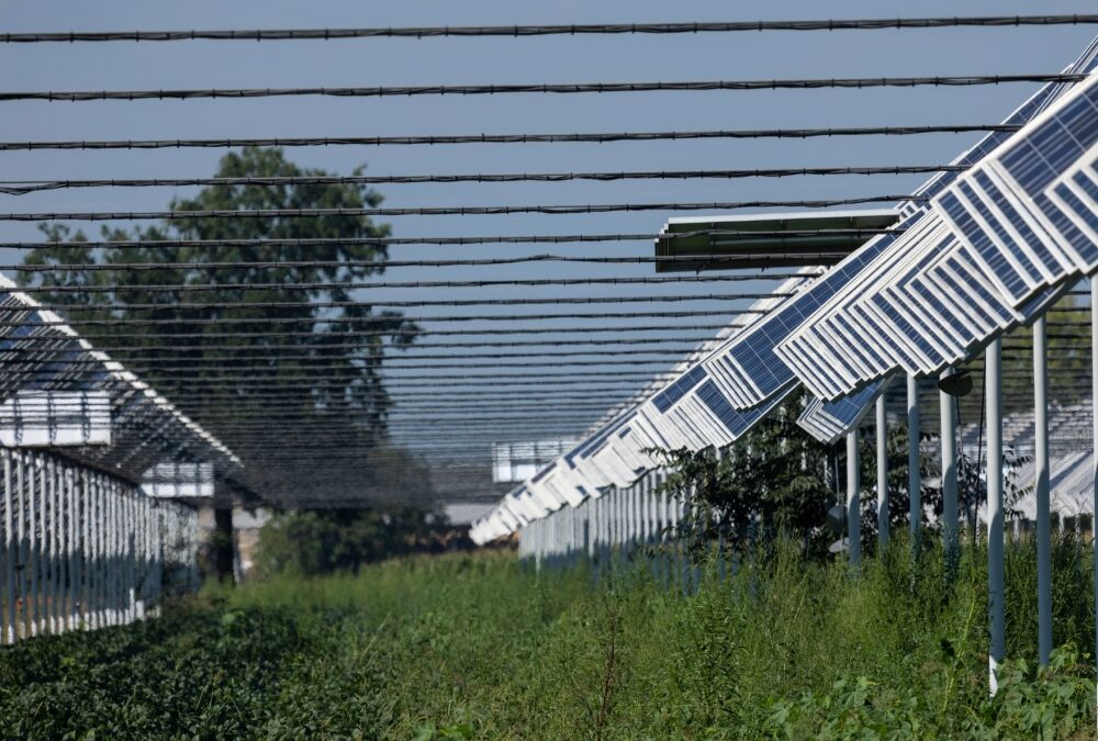 L’agrivoltaïsme : un levier incontournable pour l’avenir énergétique de la France