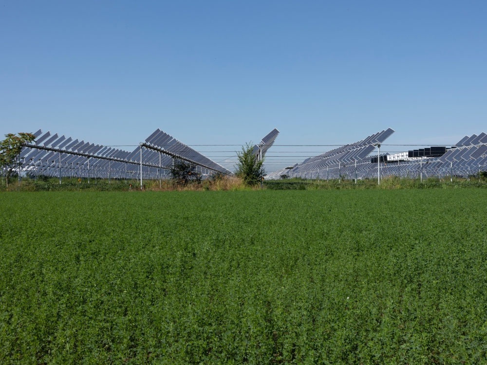 Agrivoltaïsme en France : agriculture et énergie solaire