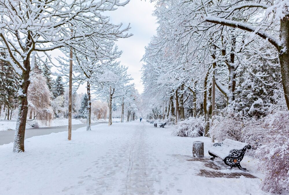 L’hiver rétrécit : l’impact grandissant du changement climatique en Europe et en France