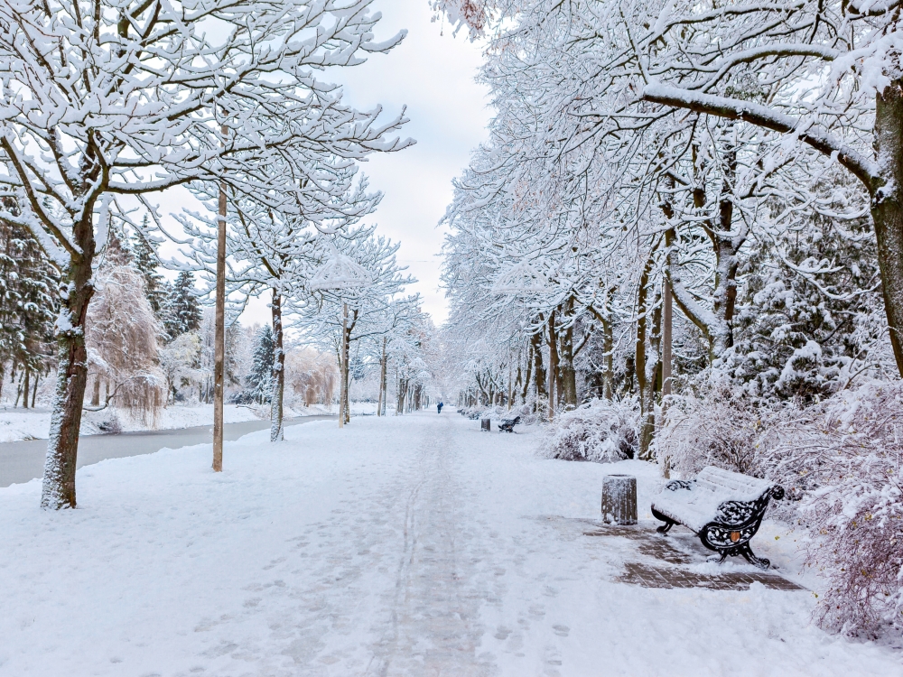 L’hiver rétrécit : l’impact grandissant du changement climatique en Europe et en France