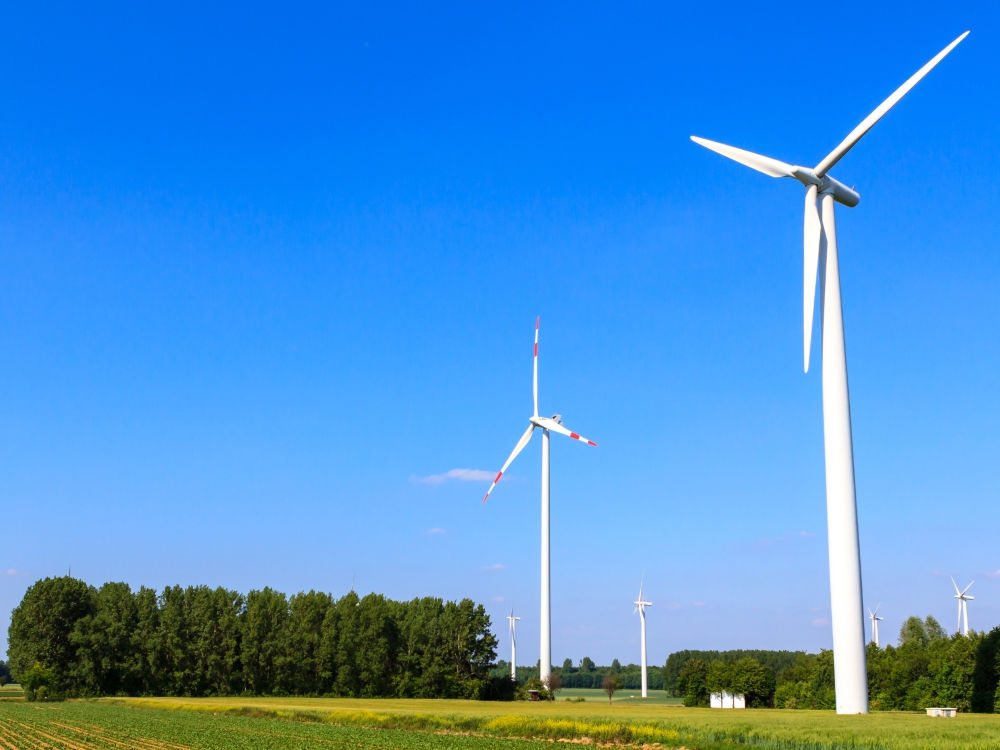 Australie : l’essor des énergies renouvelables bouscule la domination du charbon