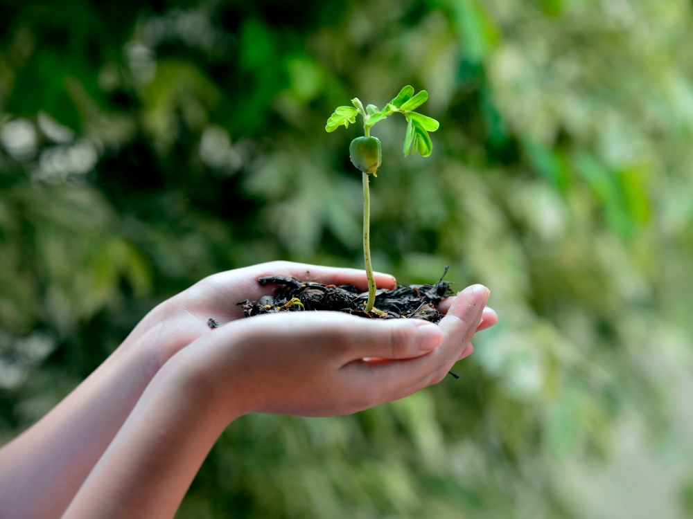 la transition écologique