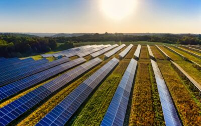 Énergie solaire : les Landes propulsées en tête de la production photovoltaïque en France