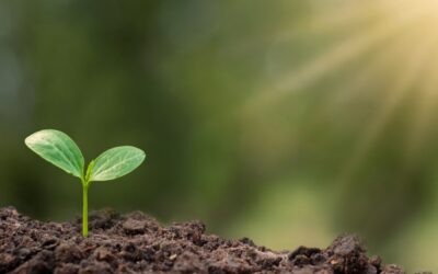 Journée mondiale de la Terre 2025