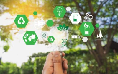 Énergie verte : Saint-Nazaire et Nantes achètent désormais leur électricité directement aux producteurs locaux