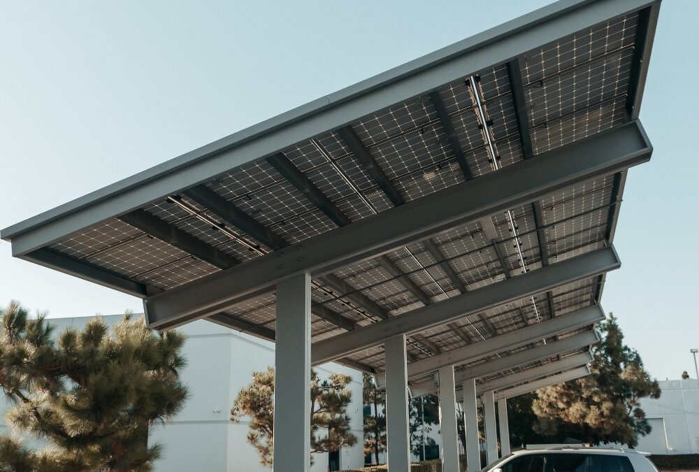 Photovoltaïque écarté : les parkings pourront désormais opter pour l’ombre des arbres