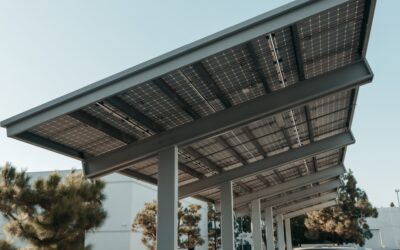 Photovoltaïque écarté : les parkings pourront désormais opter pour l’ombre des arbres