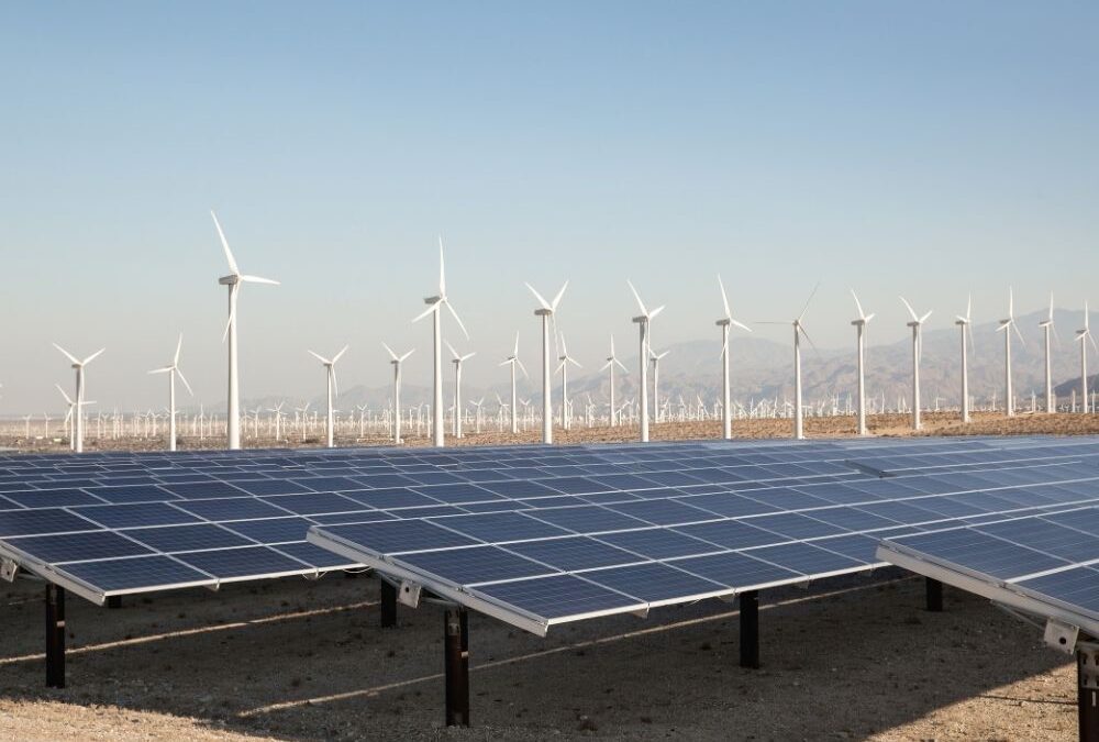 Énergies renouvelables : en 2024, plus d’un tiers de l’électricité consommée en France est verte