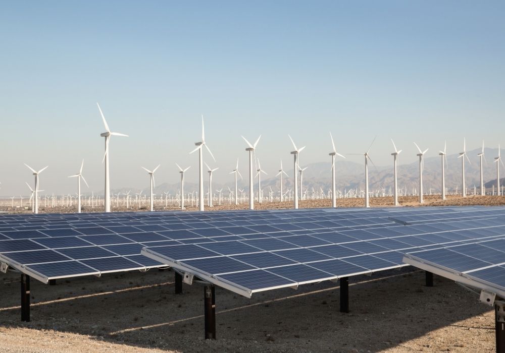Énergies renouvelables : en 2024, plus d’un tiers de l’électricité consommée en France est verte